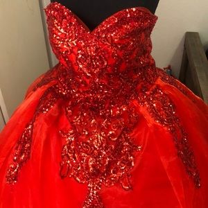 Sweet 16 / Quinceañera Ball Gown